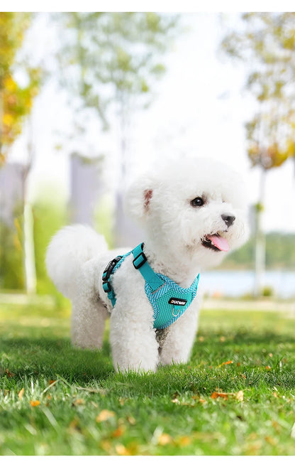 Harnais d'Été pour Chien : Confort et Fraîcheur