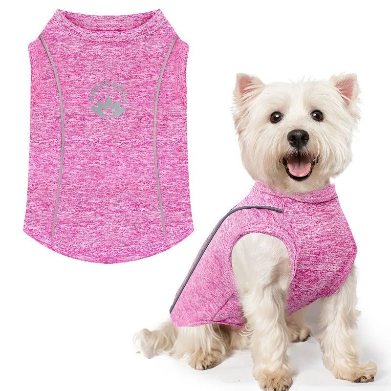 Chemise Anti-UV pour Chiot – Respirante et Séchage Rapide - Balade.le.chien.com