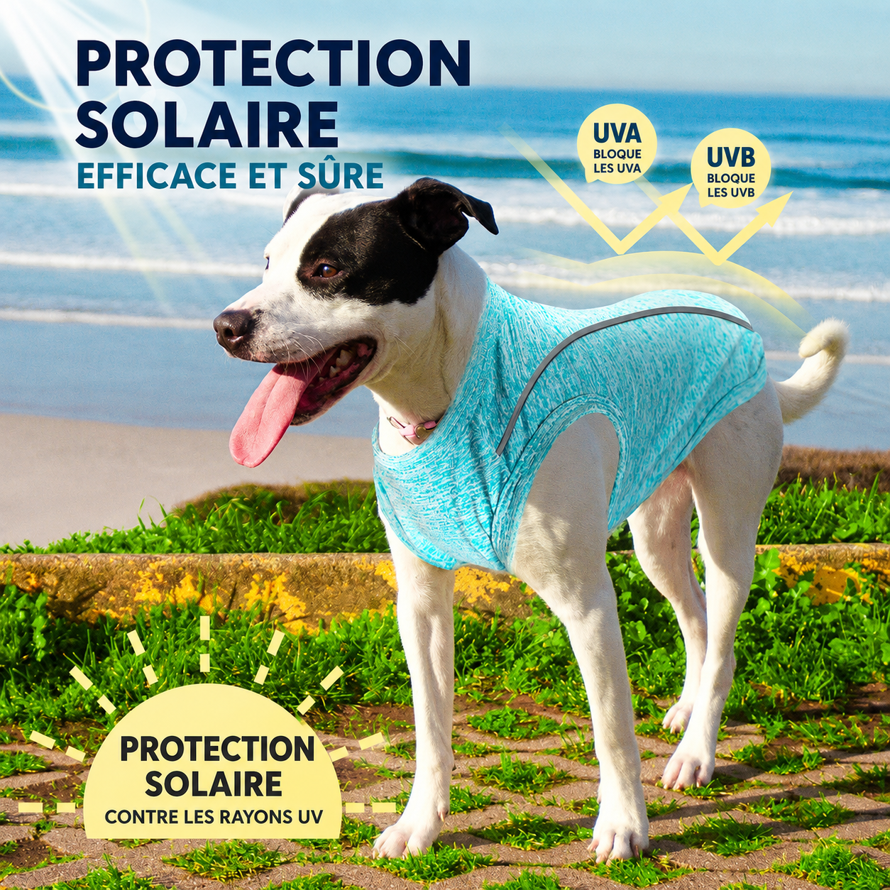 Chemise Anti-UV pour Chiot – Respirante et Séchage Rapide - Balade.le.chien.com