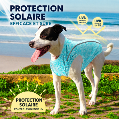Chemise Anti-UV pour Chiot – Respirante et Séchage Rapide - Balade.le.chien.com