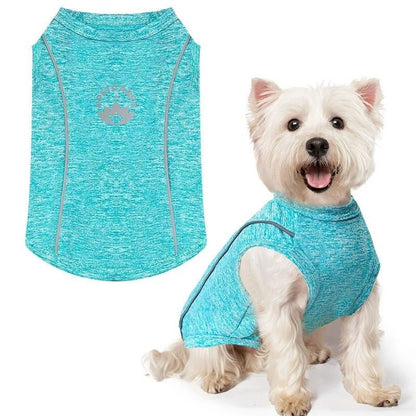 Chemise Anti-UV pour Chiot – Respirante et Séchage Rapide - Balade.le.chien.com