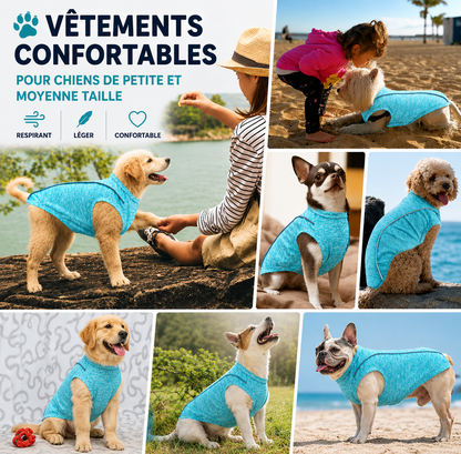Chemise Anti-UV pour Chiot – Respirante et Séchage Rapide - Balade.le.chien.com