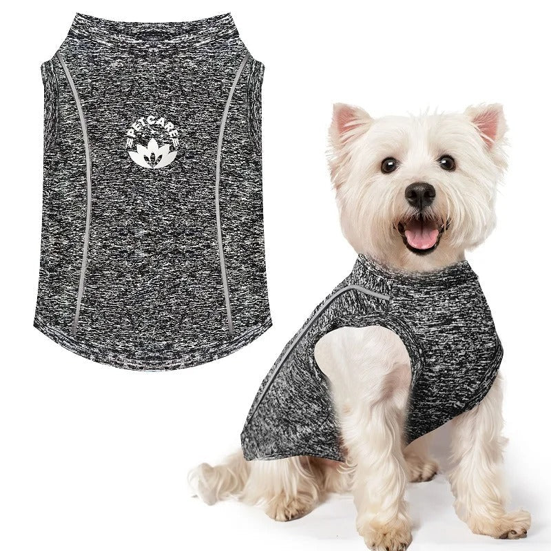 Chemise Anti-UV pour Chiot – Respirante et Séchage Rapide - Balade.le.chien.com