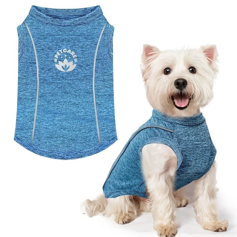 Chemise Anti-UV pour Chiot – Respirante et Séchage Rapide - Balade.le.chien.com