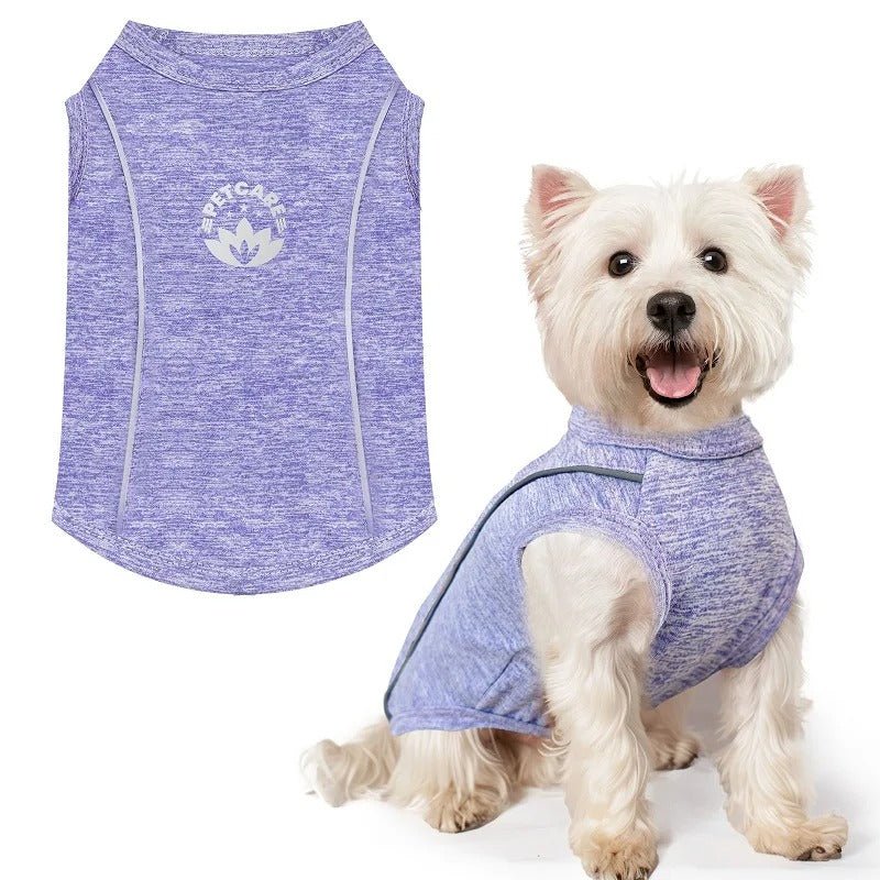Chemise Anti-UV pour Chiot – Respirante et Séchage Rapide - Balade.le.chien.com