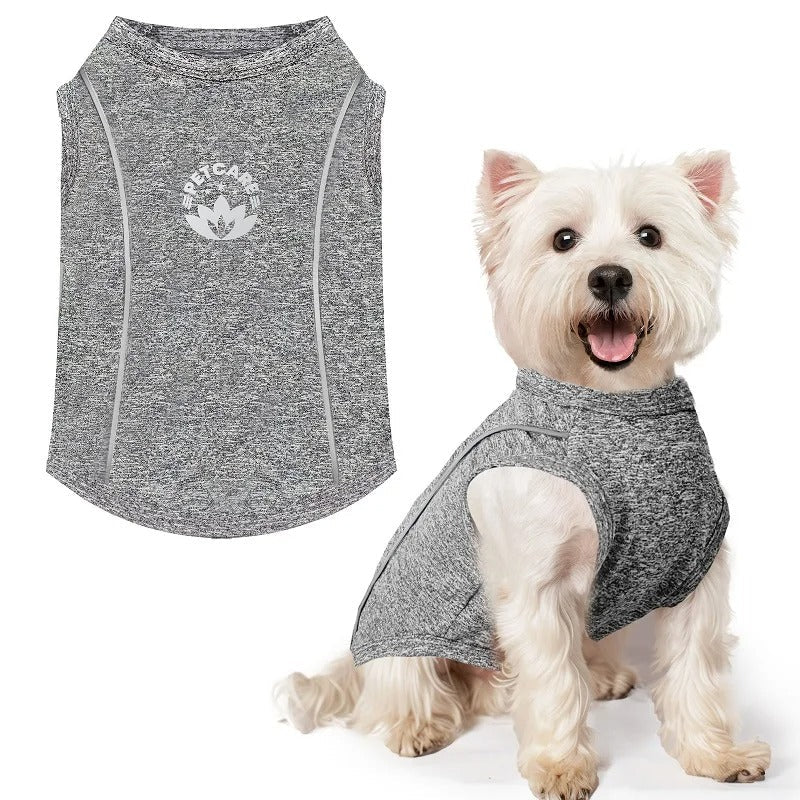Chemise Anti-UV pour Chiot – Respirante et Séchage Rapide - Balade.le.chien.com