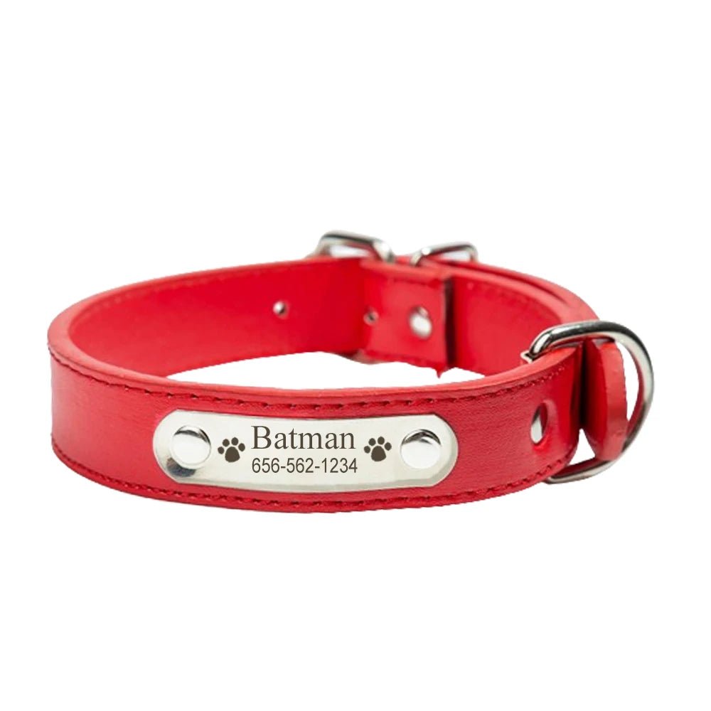 Collier en cuir pour chien - Balade.le.chien.com