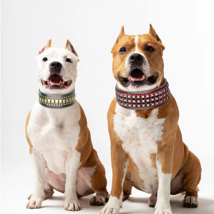 Collier en cuir pour chien | Élégance Canine - Balade.le.chien.com