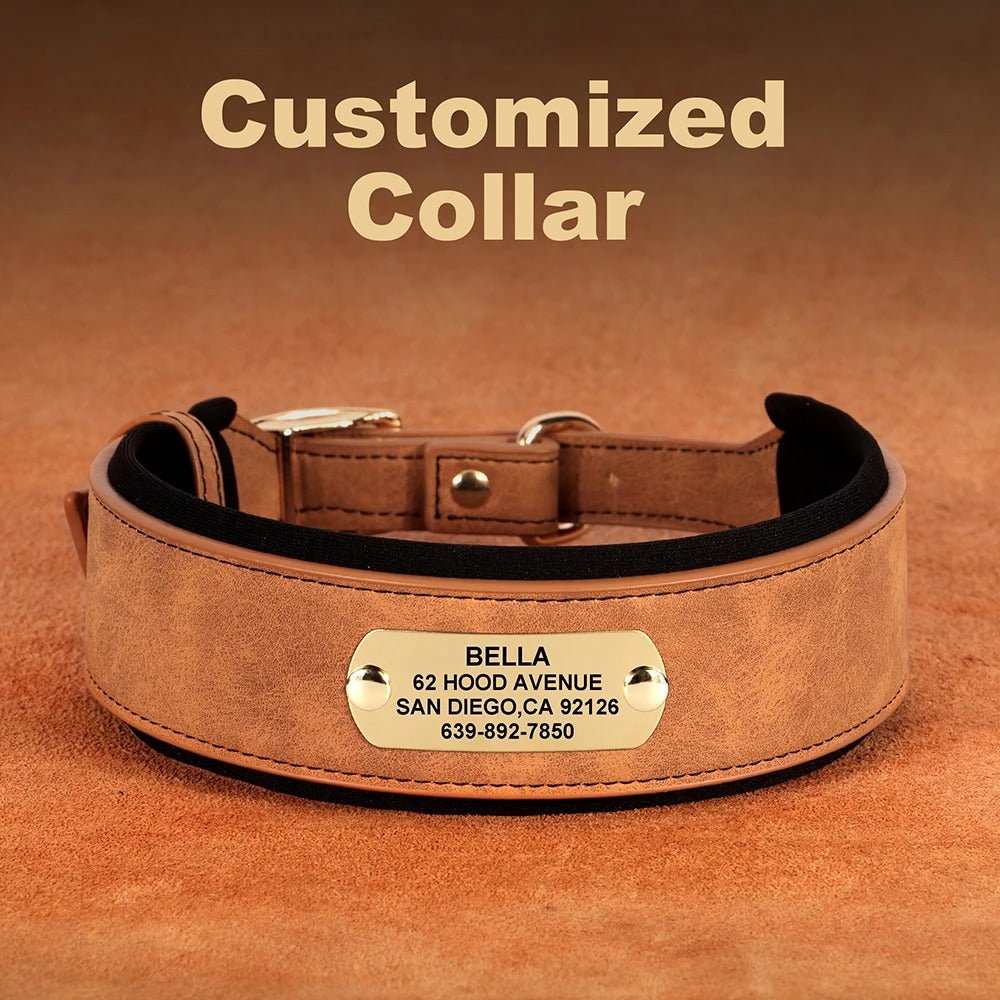 Collier en cuir pour chien | Personnalisé gravé - Balade.le.chien.com