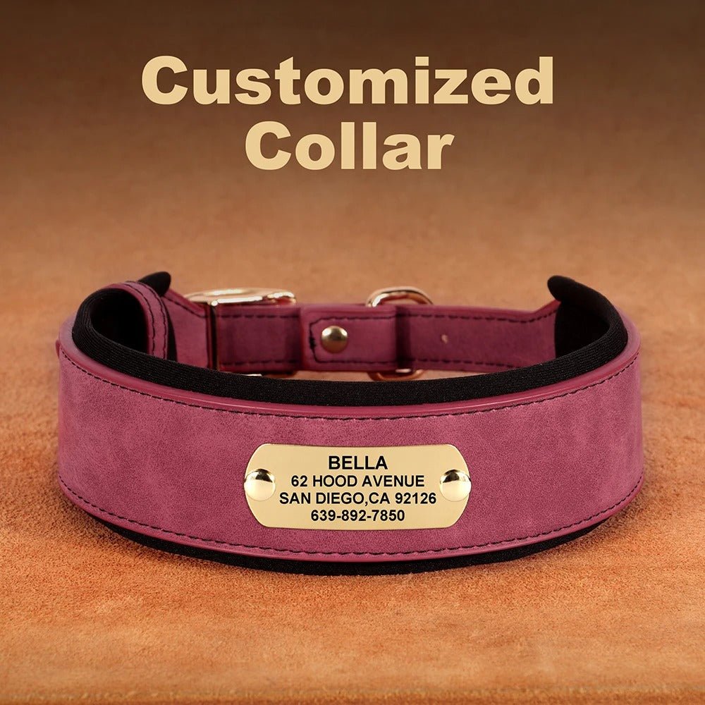 Collier en cuir pour chien | Personnalisé gravé - Balade.le.chien.com