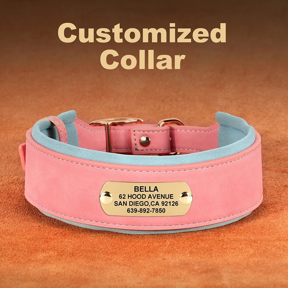Collier en cuir pour chien | Personnalisé gravé - Balade.le.chien.com