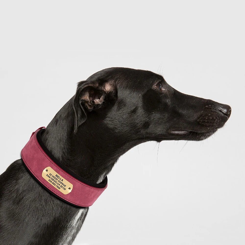 Collier en cuir pour chien | Personnalisé gravé - Balade.le.chien.com
