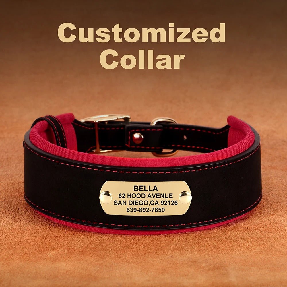 Collier en cuir pour chien | Personnalisé gravé - Balade.le.chien.com