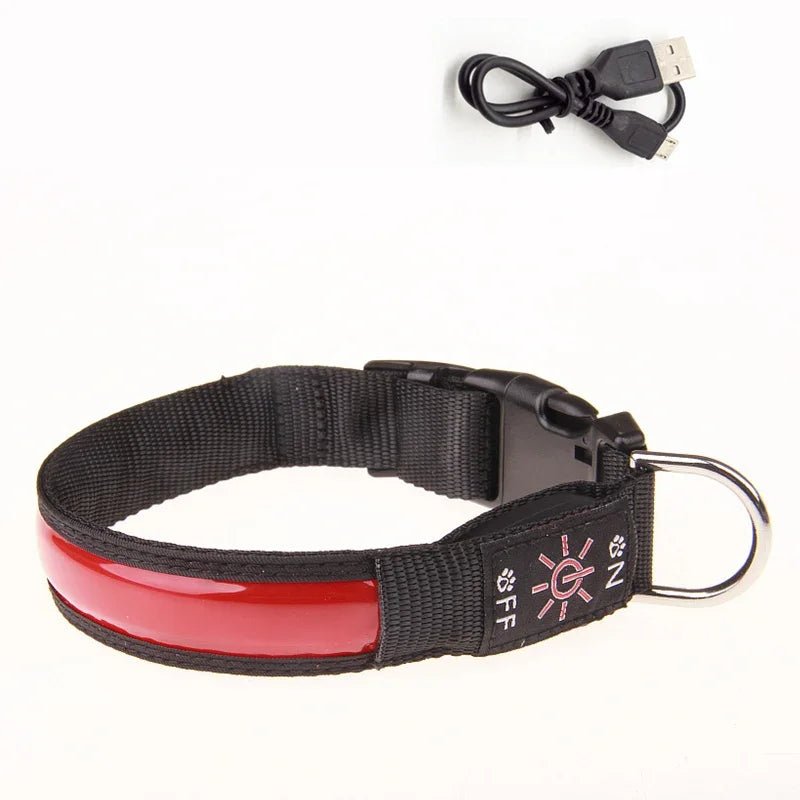 collier lumineux pour chien - Balade.le.chien.com