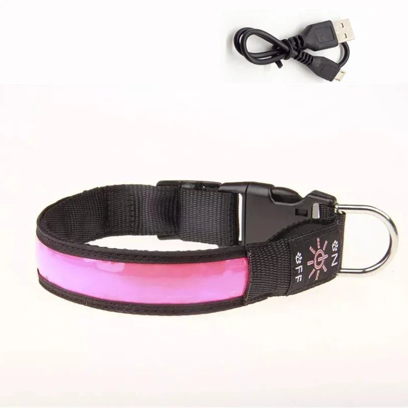 collier lumineux pour chien - Balade.le.chien.com