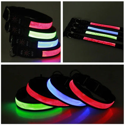 collier lumineux pour chien - Balade.le.chien.com
