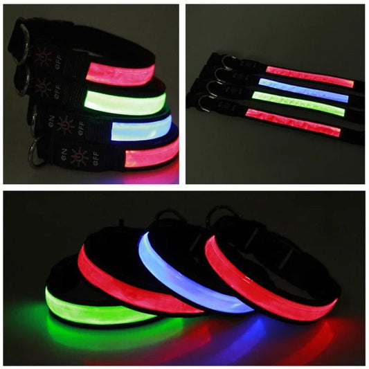 collier lumineux pour chien - Balade.le.chien.com