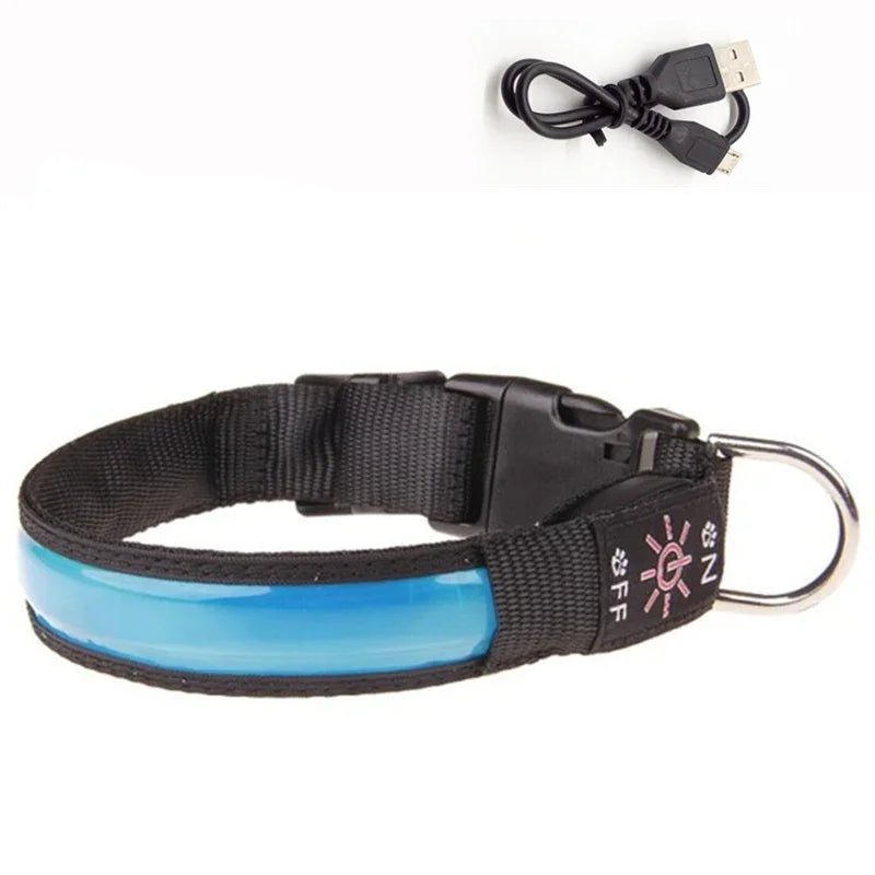 collier lumineux pour chien - Balade.le.chien.com