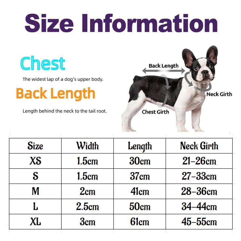 Collier pour chien en cuir confortable- Balade.le.chien.com