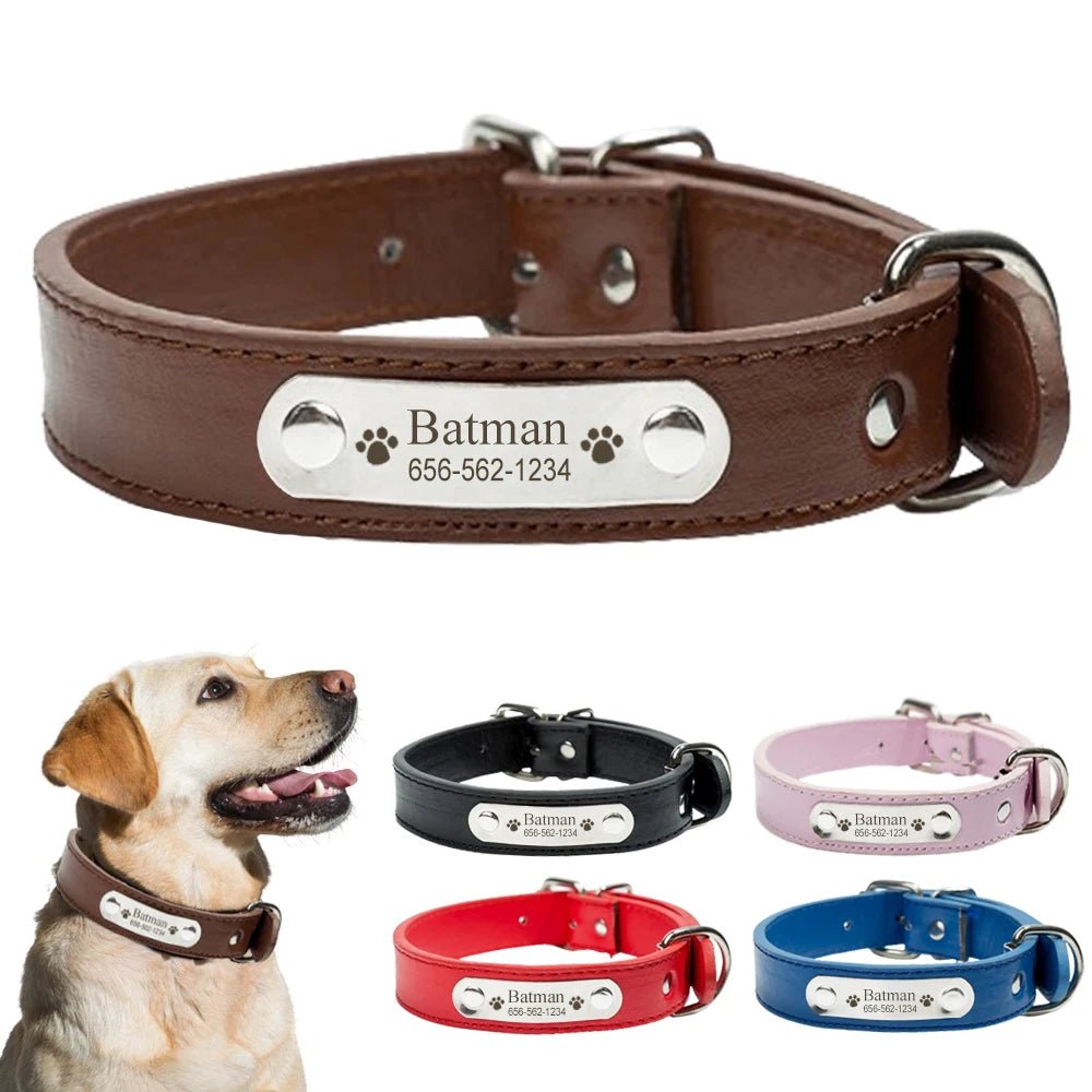 Collier pour chien en cuir confortable- Balade.le.chien.com