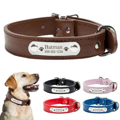 Collier pour chien en cuir confortable- Balade.le.chien.com