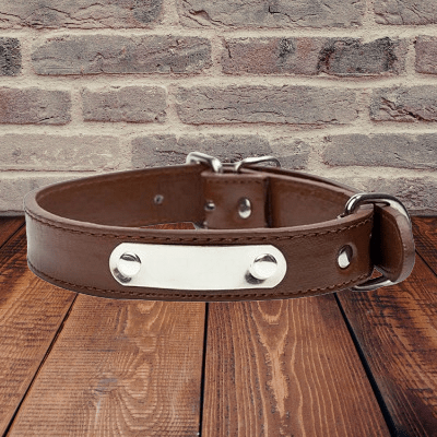 Collier pour chien en cuir™ - Marron - Balade.le.chien.com