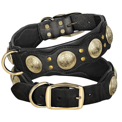 Collier pour chien en cuir | Robuste et élégant - Balade.le.chien.com