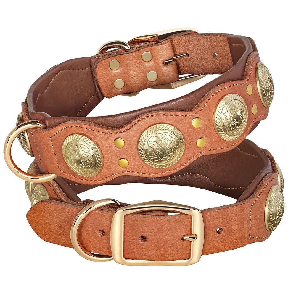 Collier pour chien en cuir | Robuste et élégant - Balade.le.chien.com