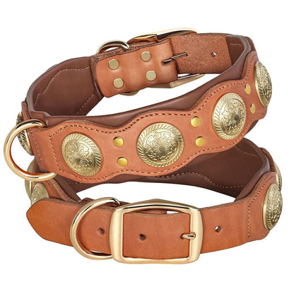 Collier pour chien en cuir | Robuste et élégant - Balade.le.chien.com
