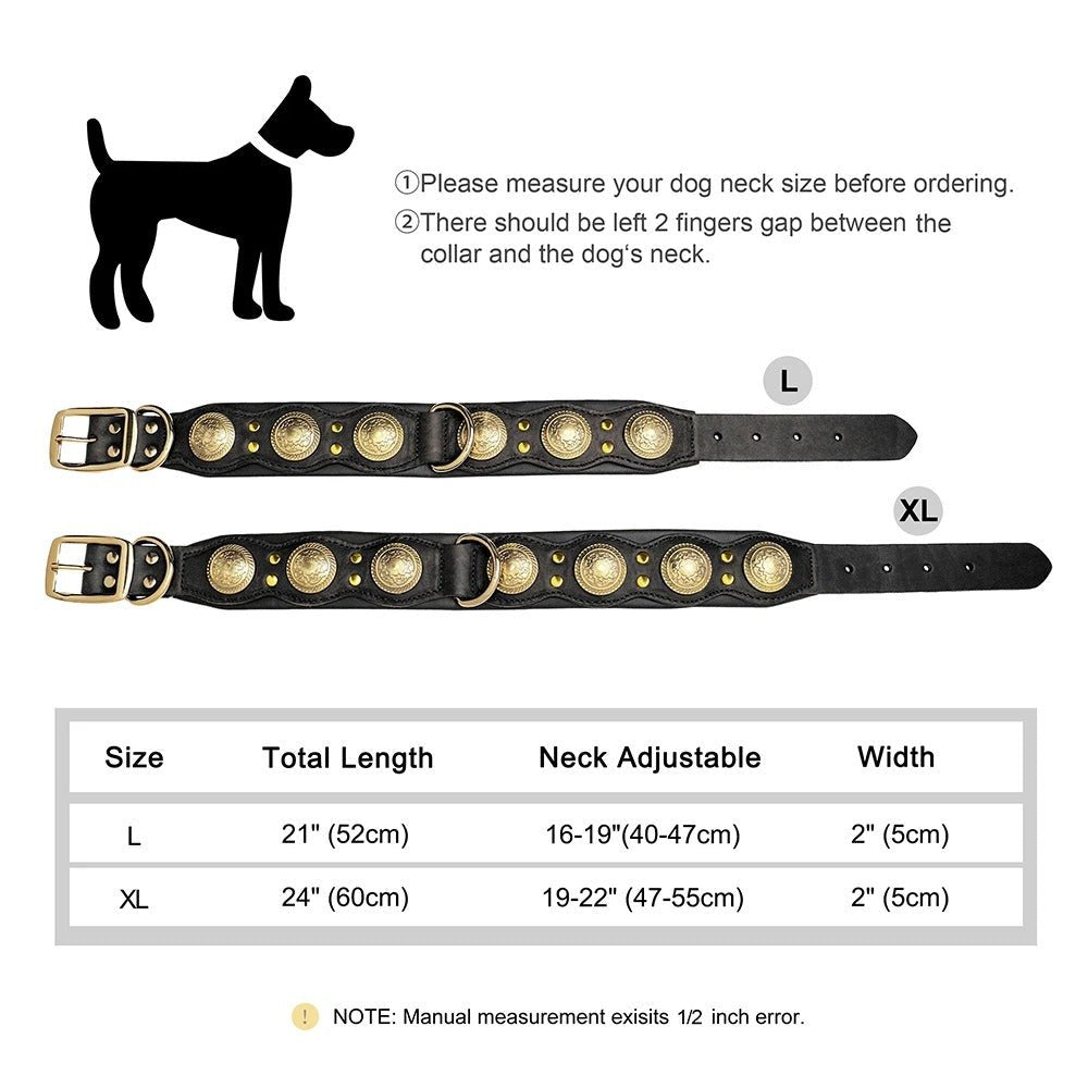 Collier pour chien en cuir | Robuste et élégant - Balade.le.chien.com