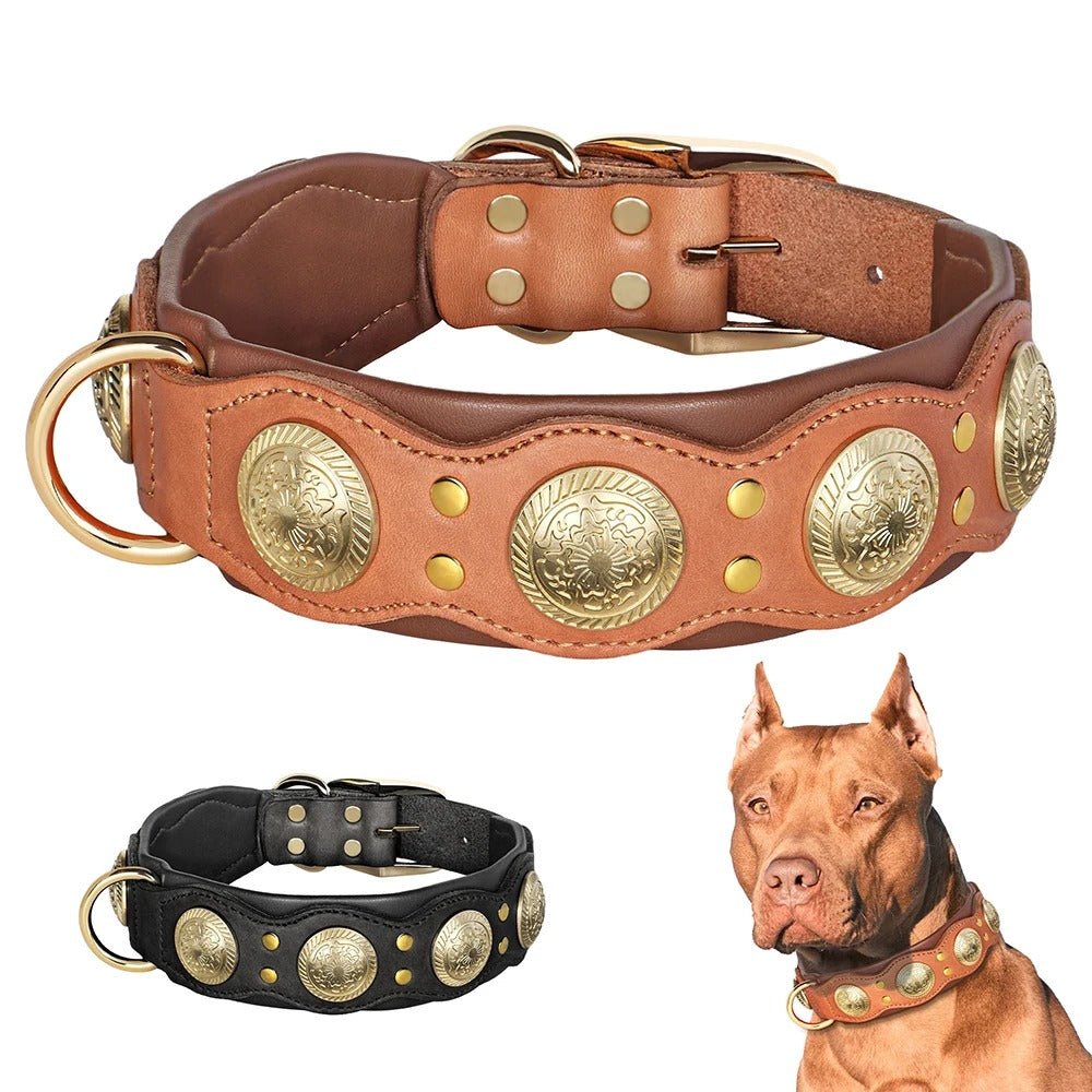 Collier pour chien en cuir | Robuste et élégant - Balade.le.chien.com