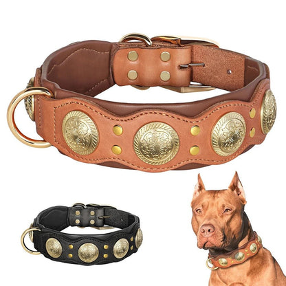 Collier pour chien en cuir | Robuste et élégant - Balade.le.chien.com