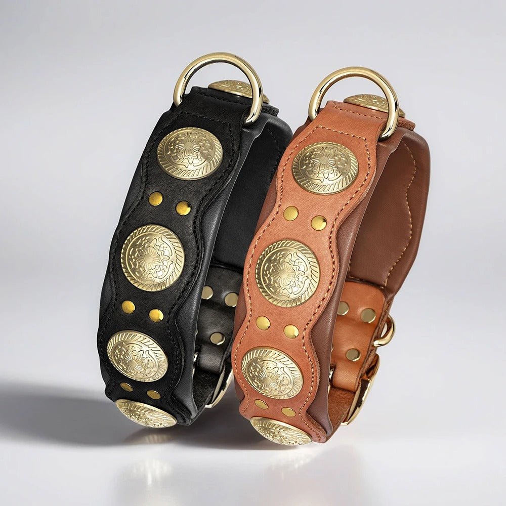 Collier pour chien en cuir | Robuste et élégant - Balade.le.chien.com