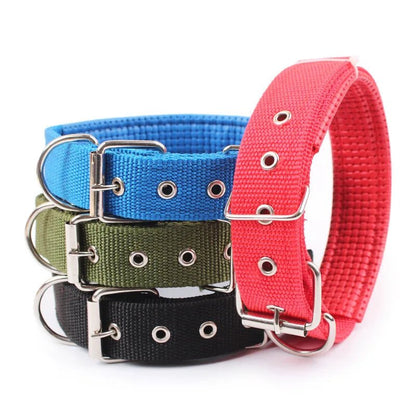 Collier pour Chien Robuste et Confortable - Balade.le.chien.com