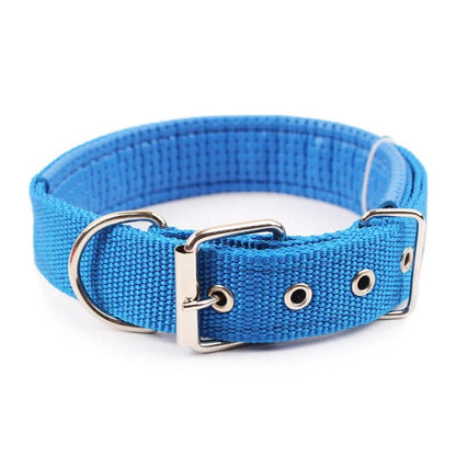 Collier pour Chien Robuste et Confortable - Balade.le.chien.com