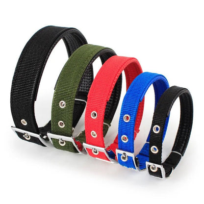 Collier pour Chien Robuste et Confortable - Balade.le.chien.com