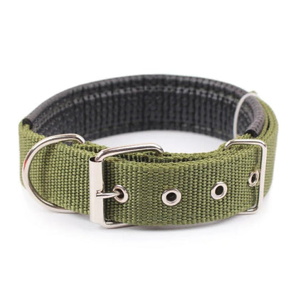 Collier pour Chien Robuste et Confortable - Balade.le.chien.com
