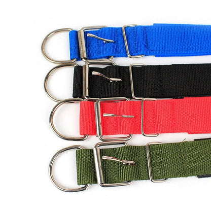 Collier pour Chien Robuste et Confortable - Balade.le.chien.com