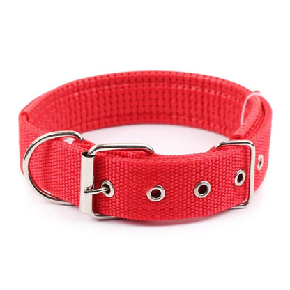 Collier pour Chien Robuste et Confortable - Balade.le.chien.com