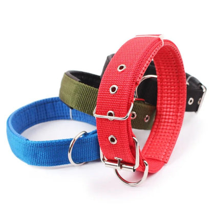 Collier pour Chien Robuste et Confortable - Balade.le.chien.com