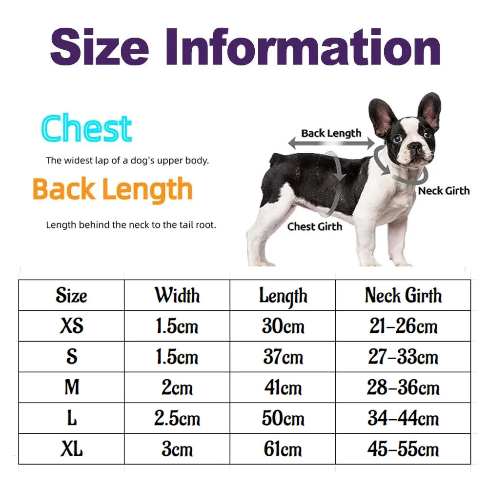 Collier pour chien en cuir