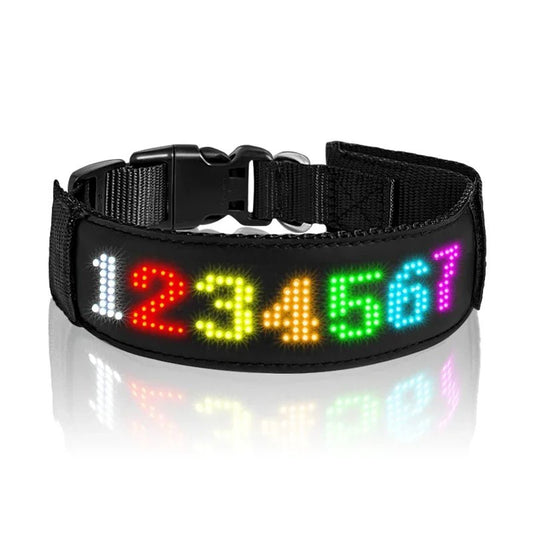 Colliers LED multicolores | Sécurité Nocturne - Balade.le.chien.com