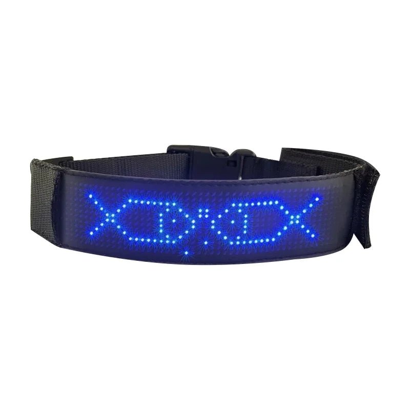 Colliers LED multicolores | Sécurité Nocturne - Balade.le.chien.com