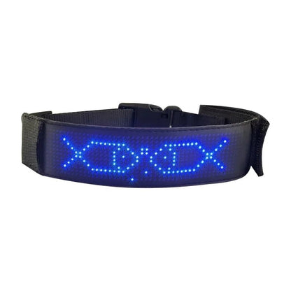 Colliers LED multicolores | Sécurité Nocturne - Balade.le.chien.com