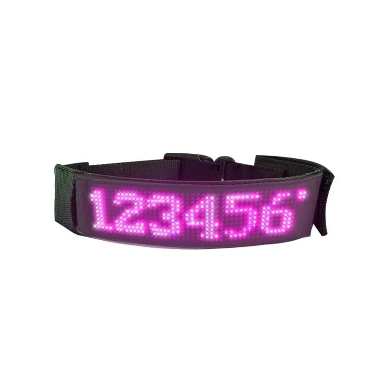 Colliers LED multicolores | Sécurité Nocturne - Balade.le.chien.com