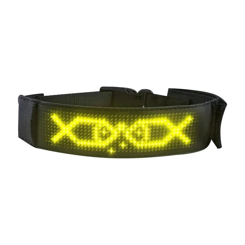 Colliers LED multicolores | Sécurité Nocturne - Balade.le.chien.com