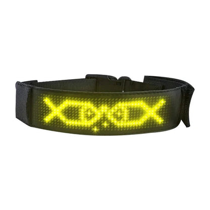 Colliers LED multicolores | Sécurité Nocturne - Balade.le.chien.com