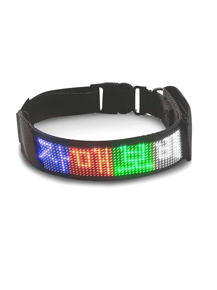 Colliers LED multicolores | Sécurité Nocturne - Balade.le.chien.com