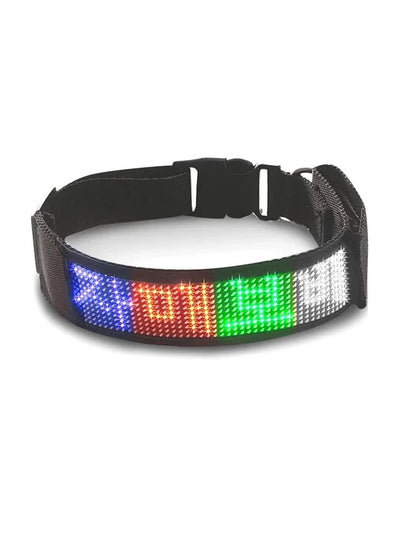 Colliers LED multicolores | Sécurité Nocturne - Balade.le.chien.com