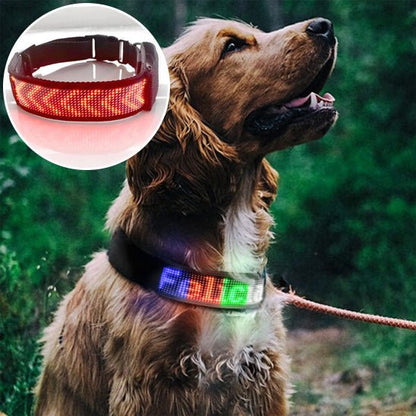 Colliers LED multicolores | Sécurité Nocturne - Balade.le.chien.com